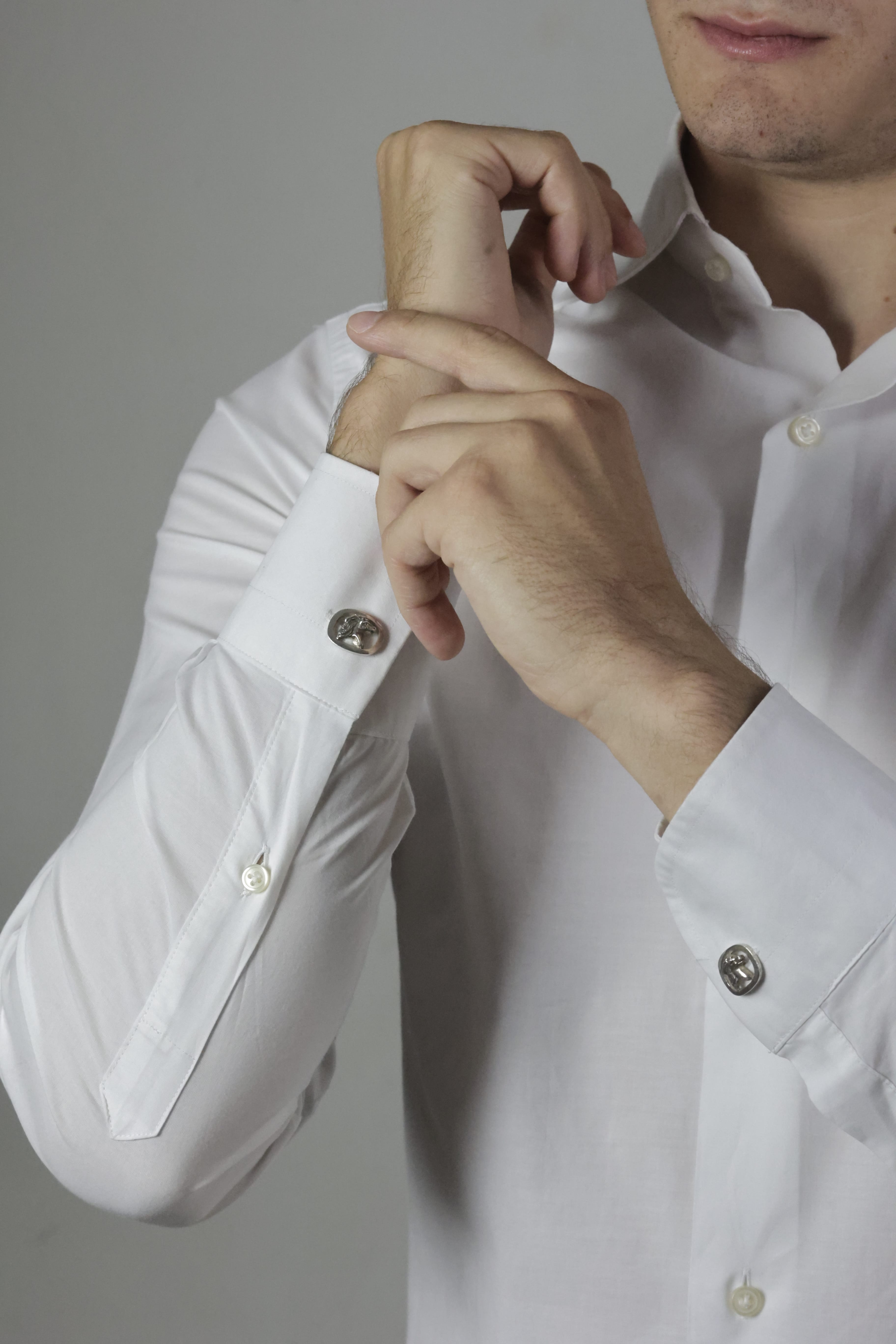 Gemelli Testa di cavallo